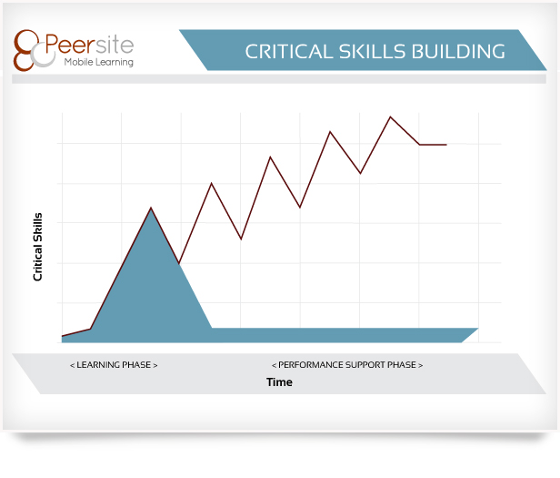 Critical Skills Building